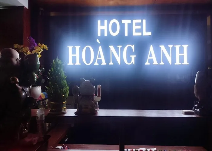 Hoàng Anh